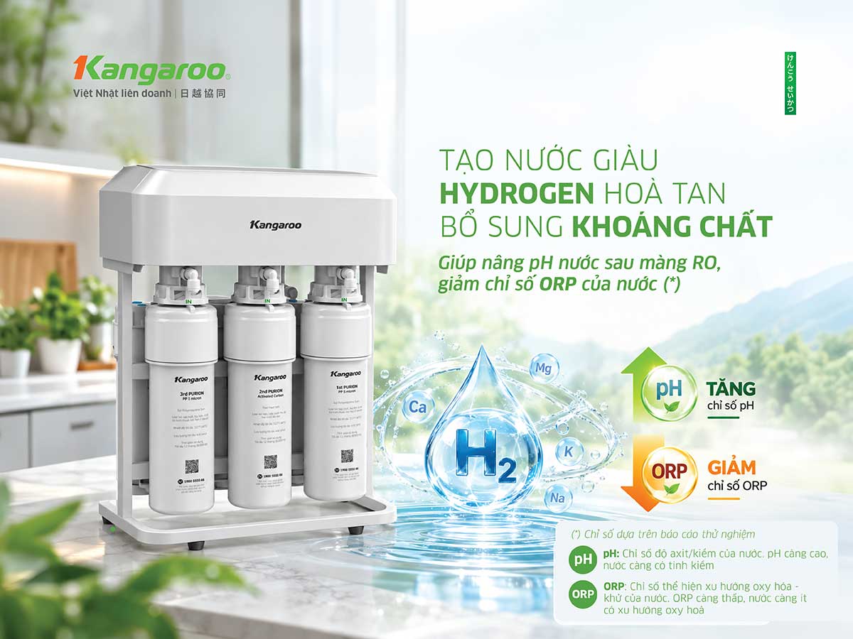 Máy lọc nước Kangaroo Hydrogen KG14K6H1