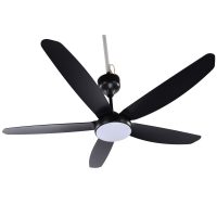 Quạt trần Kangaroo KGCF5DCL2