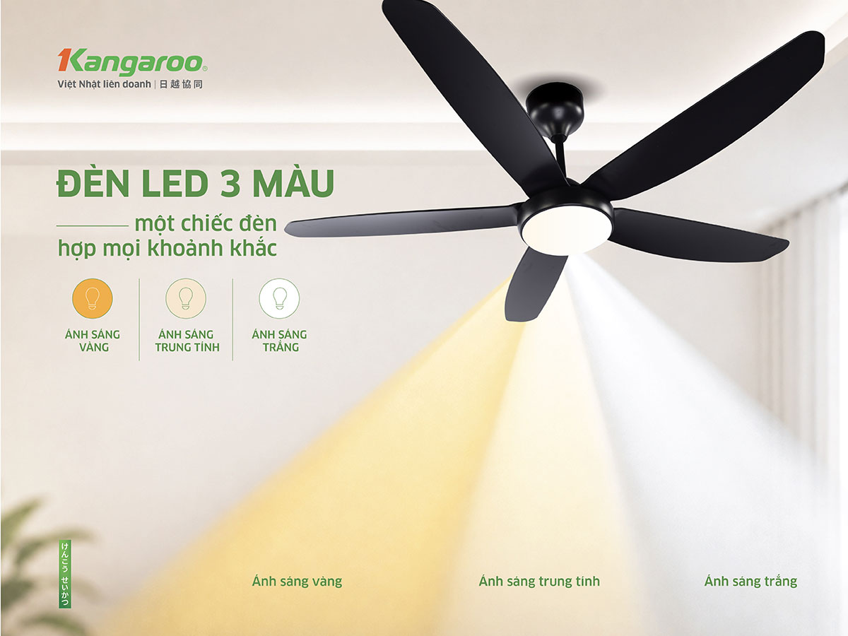 Quạt trần Kangaroo KGCF5DCL2