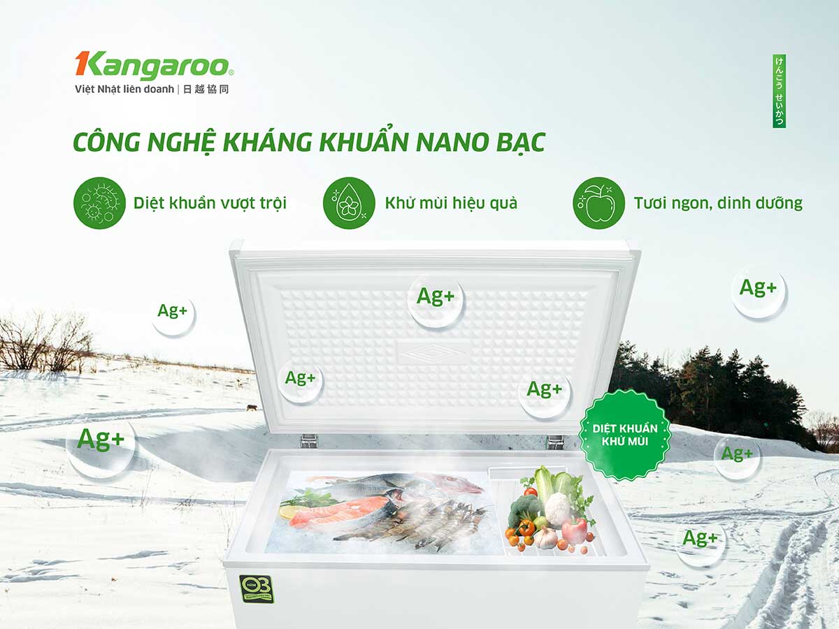 Tủ đông kháng khuẩn Kangaroo 140 lít KG140C1N