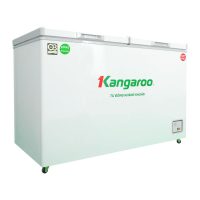 Tủ đông kháng khuẩn Kangaroo 252 lít KG252C2N