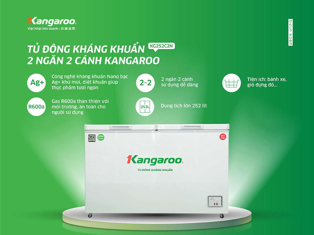 Tủ đông kháng khuẩn Kangaroo 252 lít KG252C2N