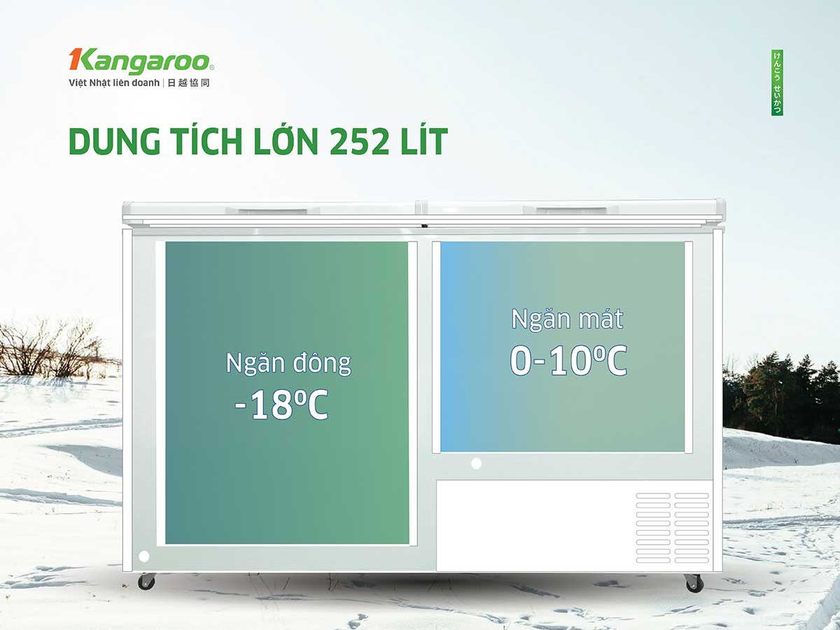 Tủ đông kháng khuẩn Kangaroo 252 lít KG252C2N