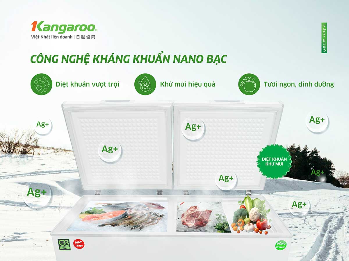 Tủ đông kháng khuẩn Kangaroo 327 lít KG327C2N