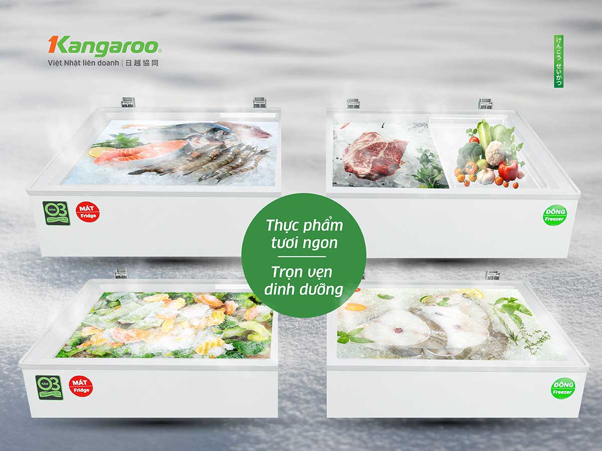 Tủ đông kháng khuẩn Kangaroo 327 lít KG327C2N