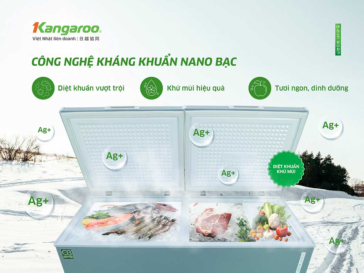 Tủ đông kháng khuẩn Kangaroo 415 lít KG415G2D