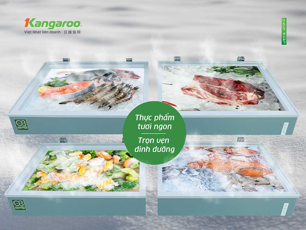 Tủ đông kháng khuẩn Kangaroo 415 lít KG415G2D