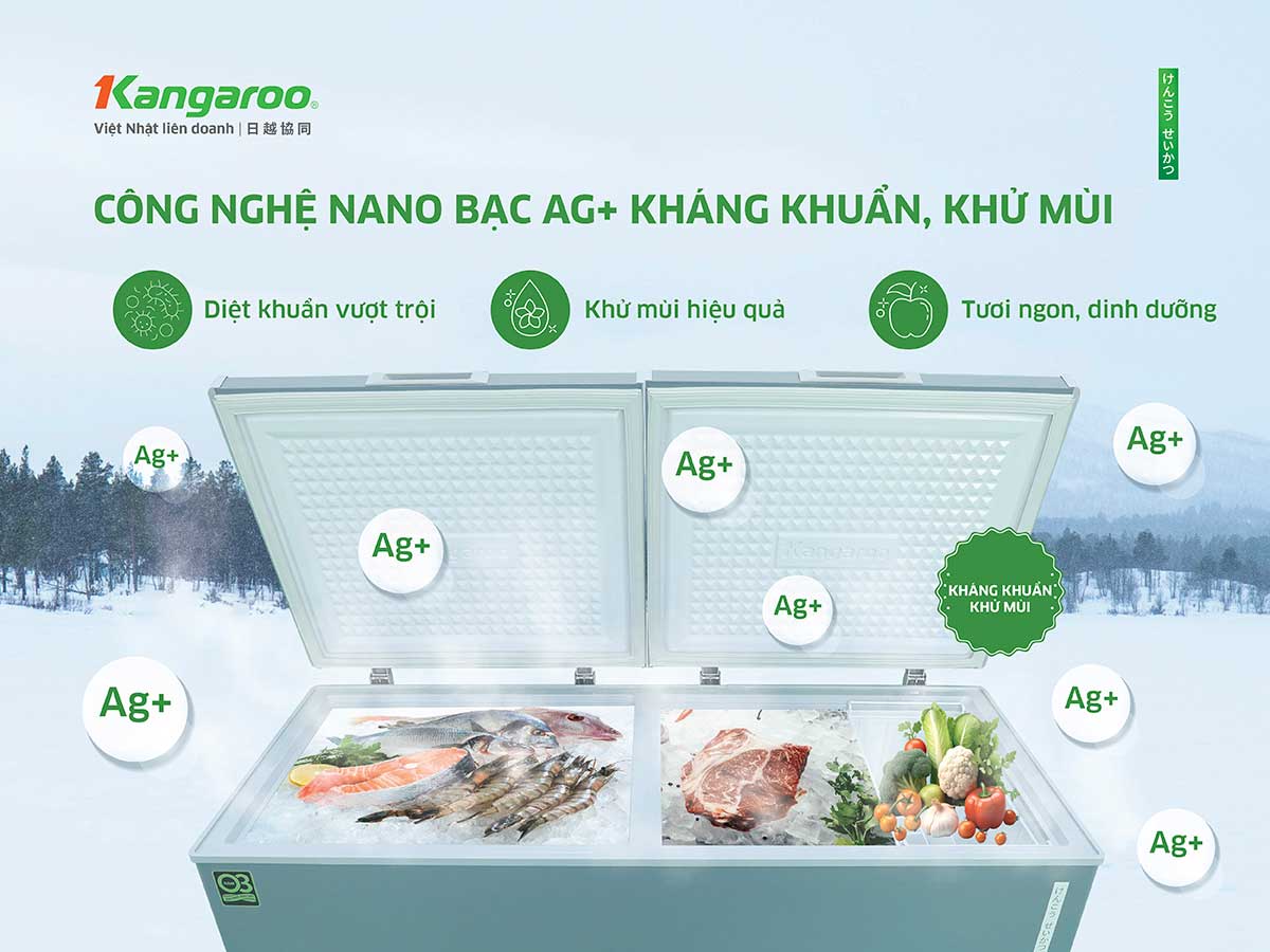 Tủ đông kháng khuẩn Kangaroo 415 lít KGFZA415IG2 Tủ đông kháng khuẩn Kangaroo 415 lít KGFZA415IG2