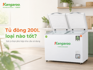 Tủ đông 200L loại nào tốt