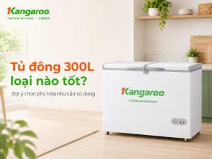 Tủ đông 300L loại nào tốt