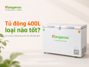 Tủ đông 400L loại nào tốt