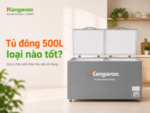 Tủ đông 500L loại nào tốt