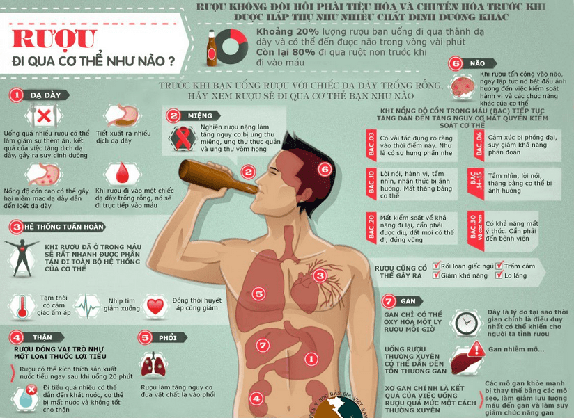 Tác hại rượu bia đối với cơ thể