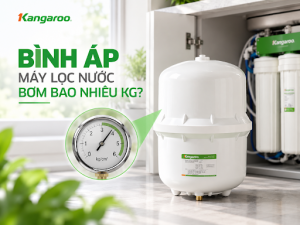 Bình áp máy lọc nước bao nhiêu kg