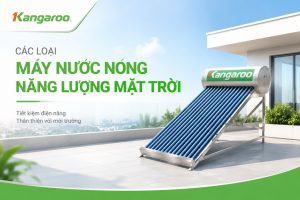 các loại máy nước nóng năng lượng mặt trời