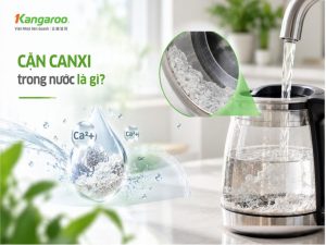 Cặn canxi trong nước