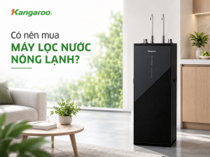 có nên mua máy lọc nước nóng lạnh