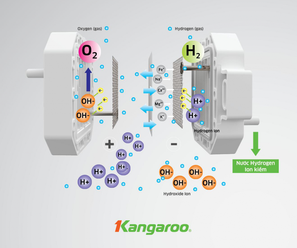 Kangaroo độc quyền công nghệ tạo nước Hydrogen ion kiềm điện phân