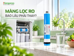 Màng lọc ro bao lâu phải thay
