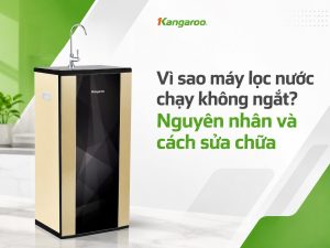Máy lọc nước chạy không ngắt