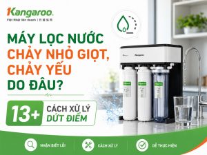 Máy lọc nước chạy nhỉ giọt