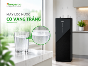 may-loc-nuoc-co-vang-trang