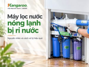 Máy lọc nước nóng lạnh bị rỉ nước