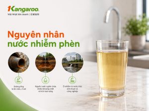 5 nguyên nhân nước nhiễm phèn và cách xử lý hiệu quả