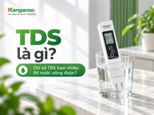 tds là gì