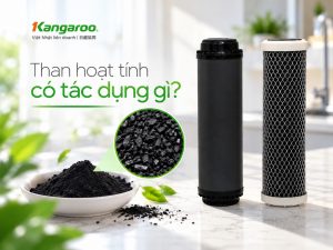 than hoạt tính có tác dụng gì