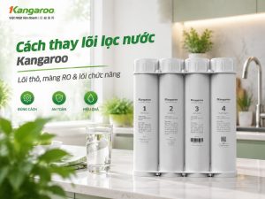 thay lõi lọc nước