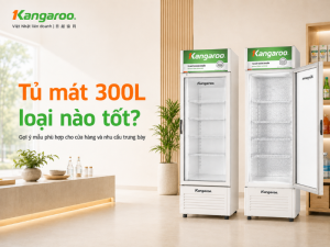 Tủ mát 300L loại nào tốt
