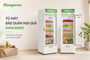 Tủ mát bảo quản hoa quả