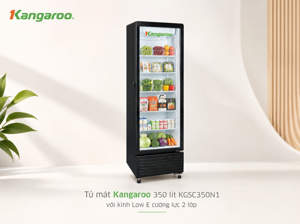 Cân nhắc kỹ các lưu ý trên giúp chọn được tủ mát Kangaroo phù hợp