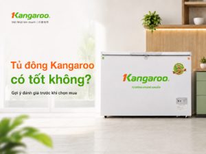 tủ đông kangaroo có tốt không