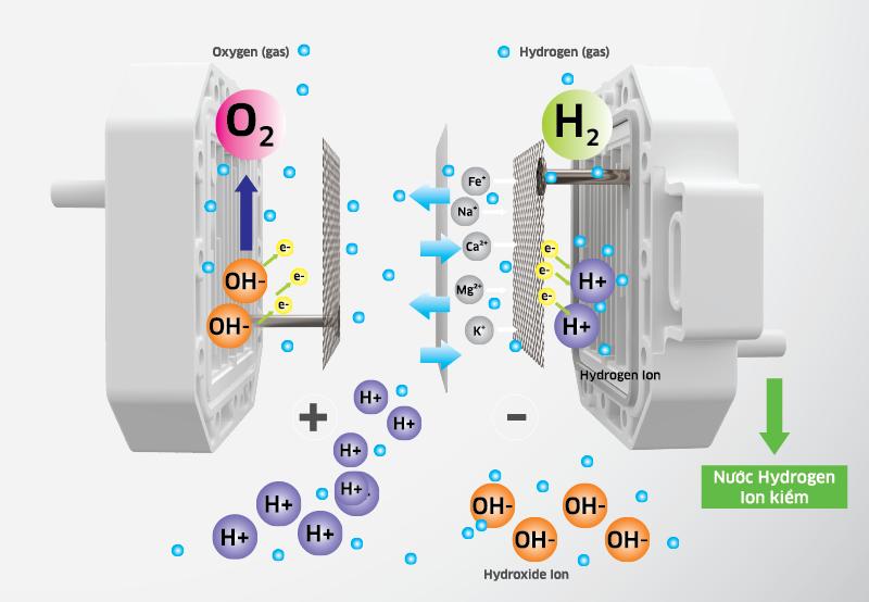Công nghệ điện phân tạo nước điện giải Hydrogen ion kiềm